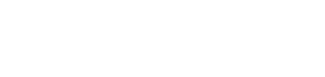 Clever Junior